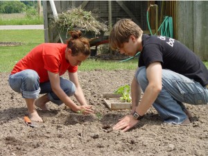 Camry Hess (left) and Jeremy Good get their hands dirty at Merry Lea, Goshen College's environmentally friendly center.  Photo contributed by Dale Hess.