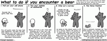 Click above for larger image