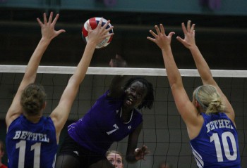 vball-martin Peni Acayo, one of Goshen College's star volleyball players, jumps up for a spike in Tuesday's game against Bethel. Goshen defeated Bethel, securing the Leafs' spot in the MCC Semifinals. Photo by Martin Brubaker.