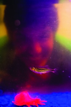 JacobFish_AlexPletcher_CMYK