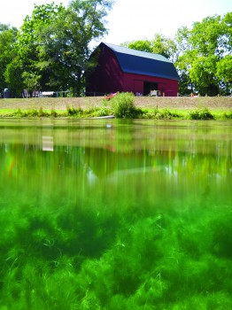 fidlers pond isaac fast