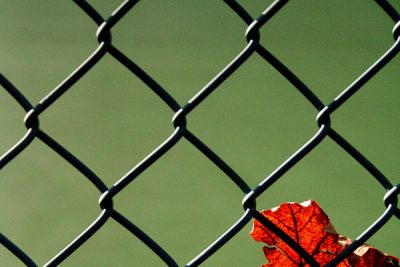 Julia Baker's picture of a leaf caught in the wire around a tennis court