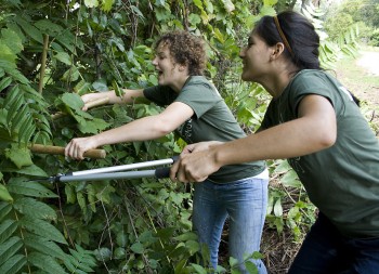 Emily Bowman (left) and Hannah Canaviri, along with the other sophomores on Yoder 3, helped Goshen Parks and Recreation prune back trees at the Rieth Interpretive Center.