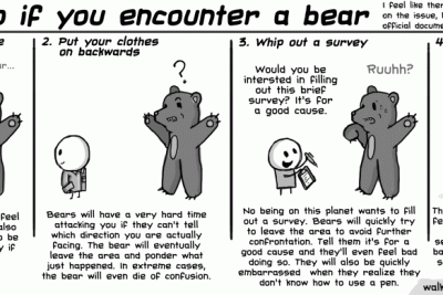 Comic strip illustrating advice for bear encounters: the comic recommends pulling out your cell phone, putting your clothes on backwards, whipping out a survey or curling into the fetus position