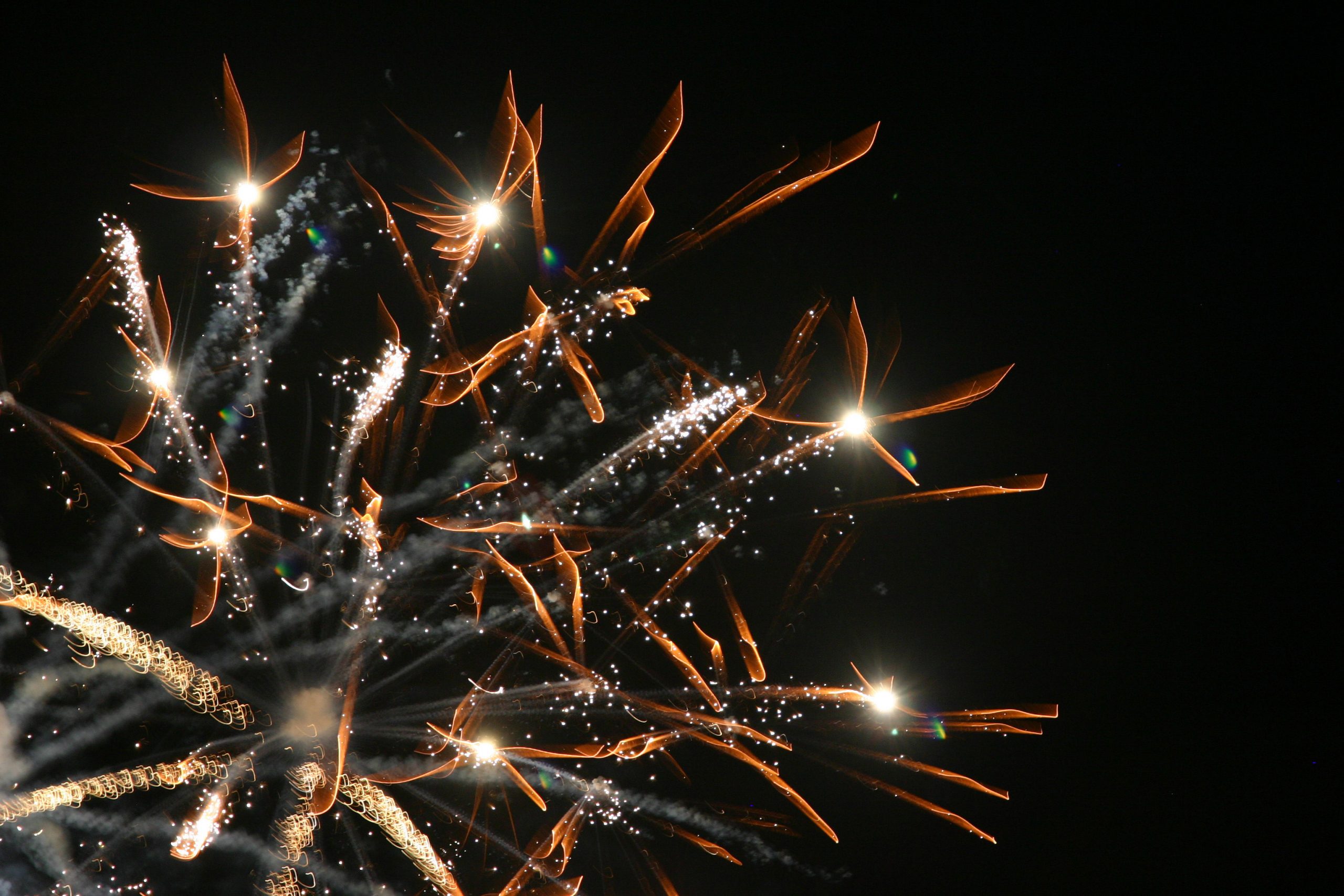 Jordan Kauffman's photo entitled "Alien Fireworks"