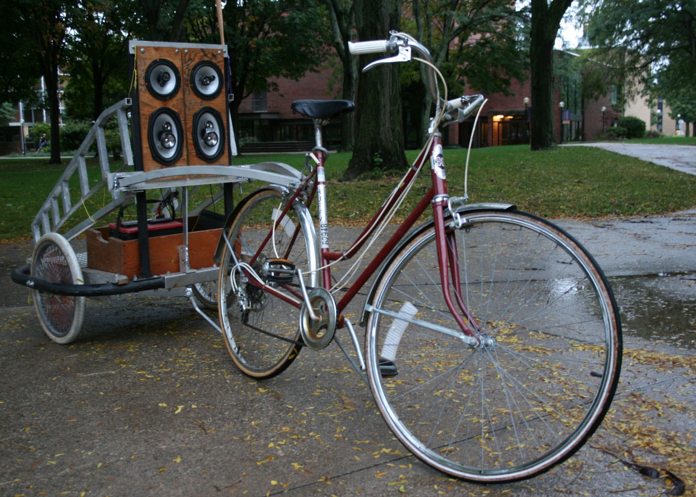 Noah Weaverdyck's bike chariot