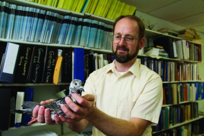 Dan Smith holds one of his homing pigeons