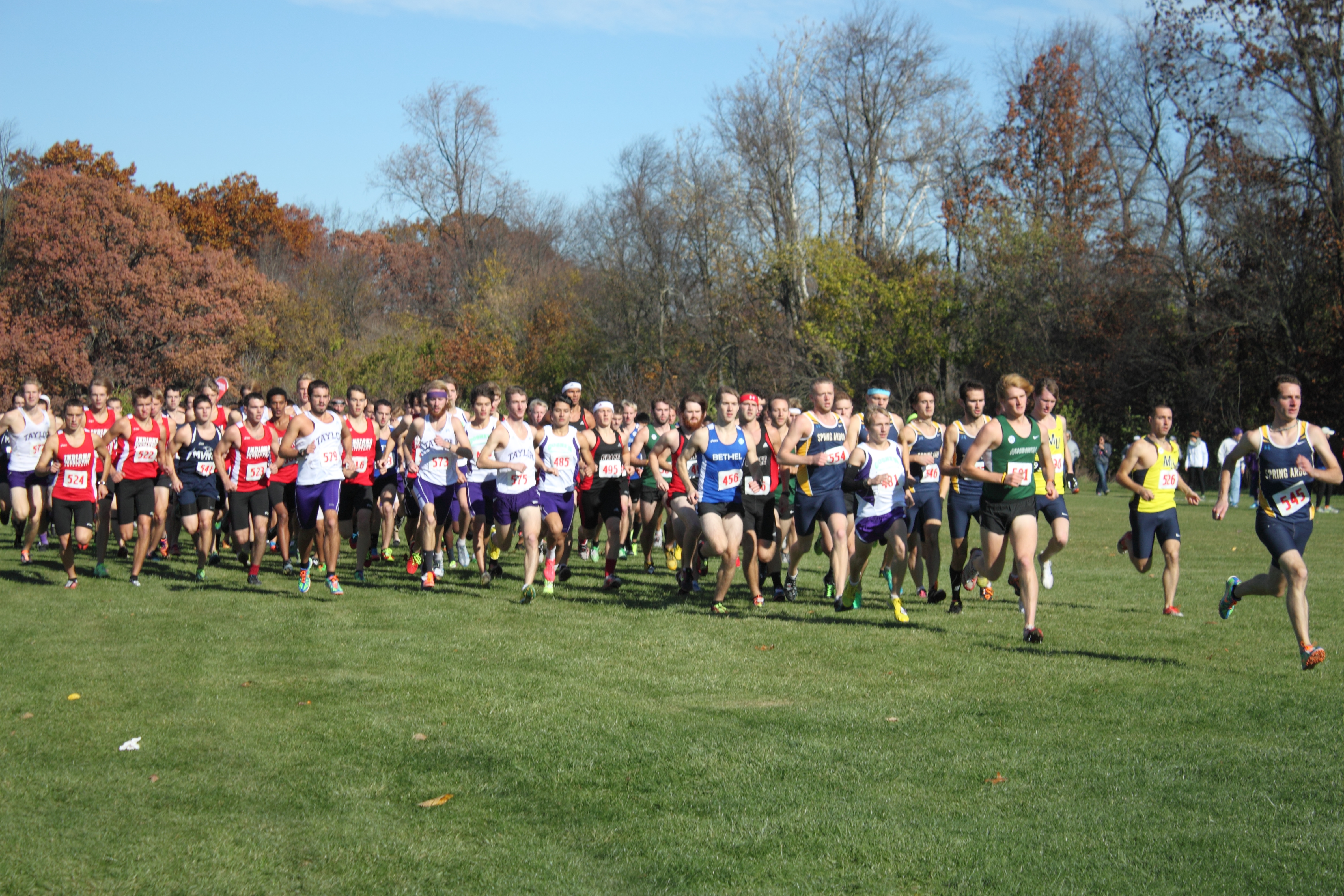 A large crowd of runners advance from the starting line at a cross country meet