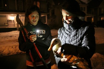 Students wrangle duck