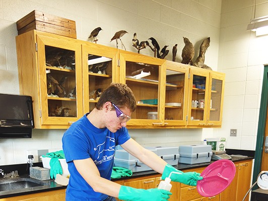 David Jantz wears safety goggles and gloves to clean a plate in the science building