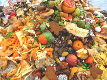 Naomi Gross and Cecilia Lapp Stoltzfus explore the issue of the amount of food waste in the United States. Photo contributed by Ryan Sensenig.