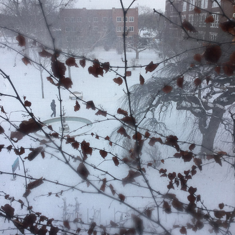 Avery Martin's view of campus from the window of a Kulp 3 room