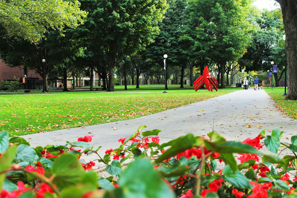 Flowers on goshen campus