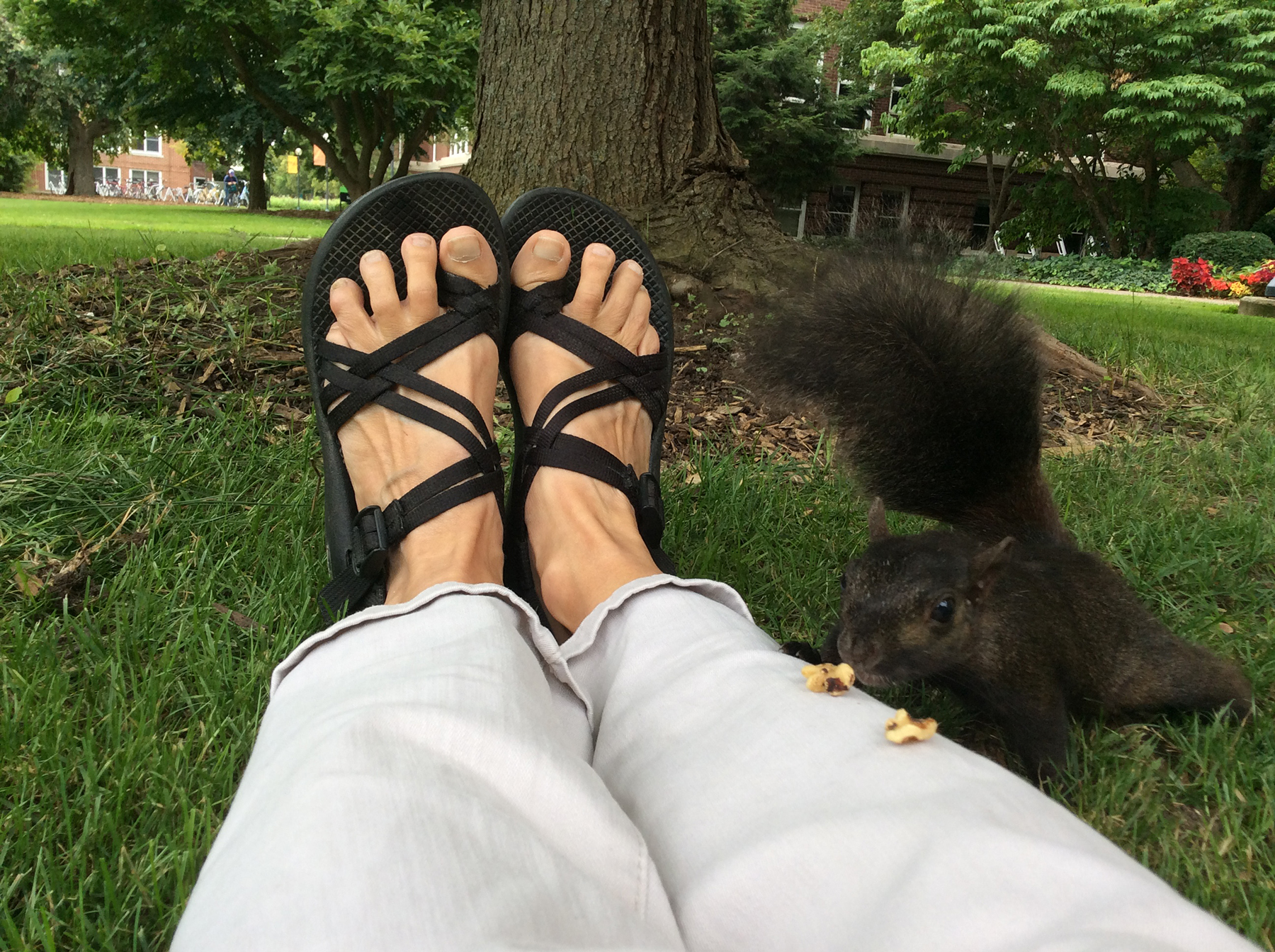 Squirrel nibbles food off of Jo-Ann Brant's leg