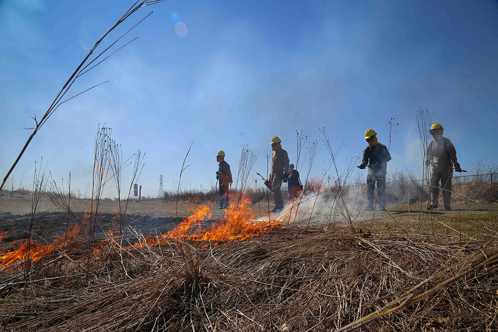 controlled burn of prairie