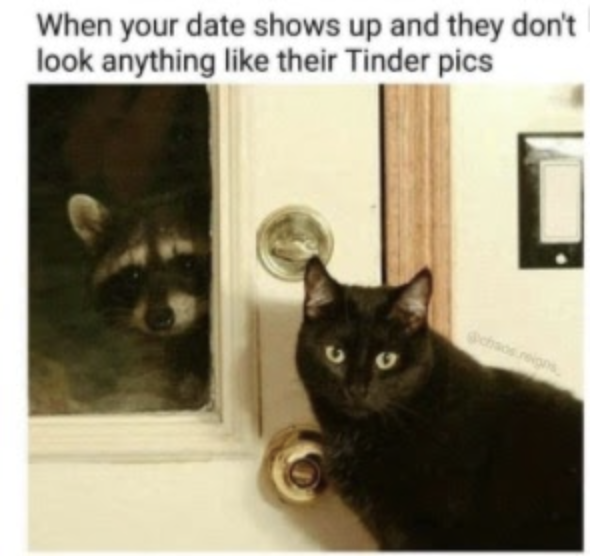 Meme of a cat and a racoon with a caption reading "When your date shows up and they don't look anything like their Tinder pics"